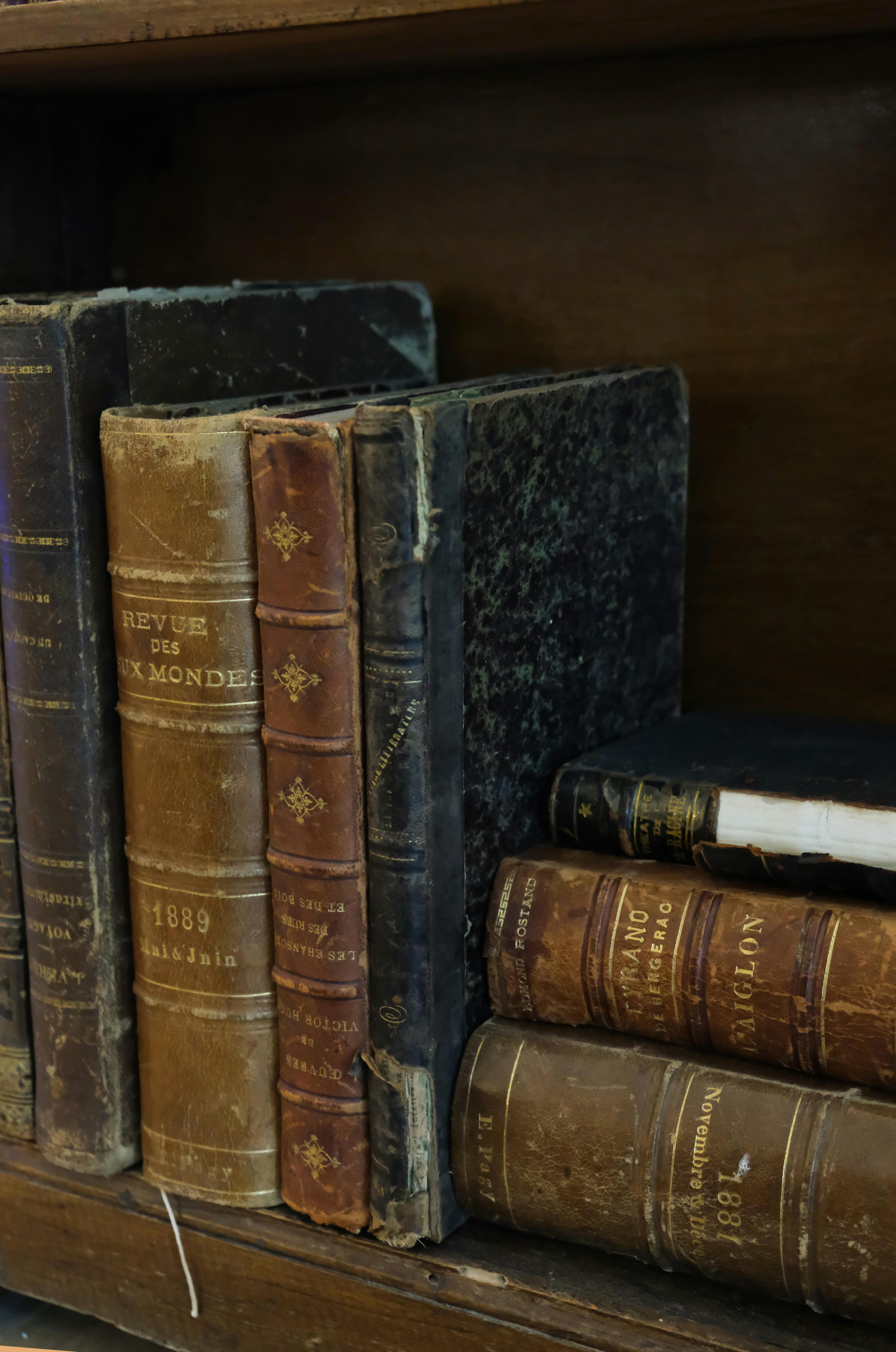 Vintage leather bookshelf representing secure storage